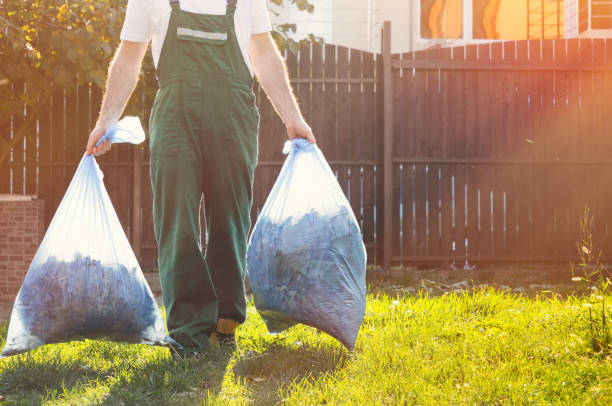 Best Yard Cleanup Services  in Belleville, MI