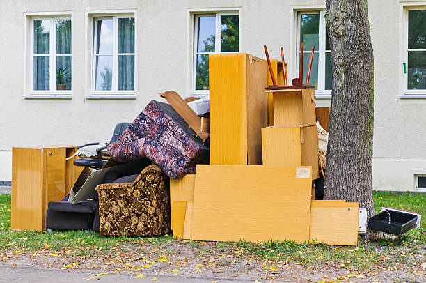 Best Electronics Removal Services  in Belleville, MI