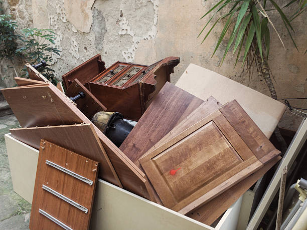 Best Yard Cleanup Services  in Belleville, MI